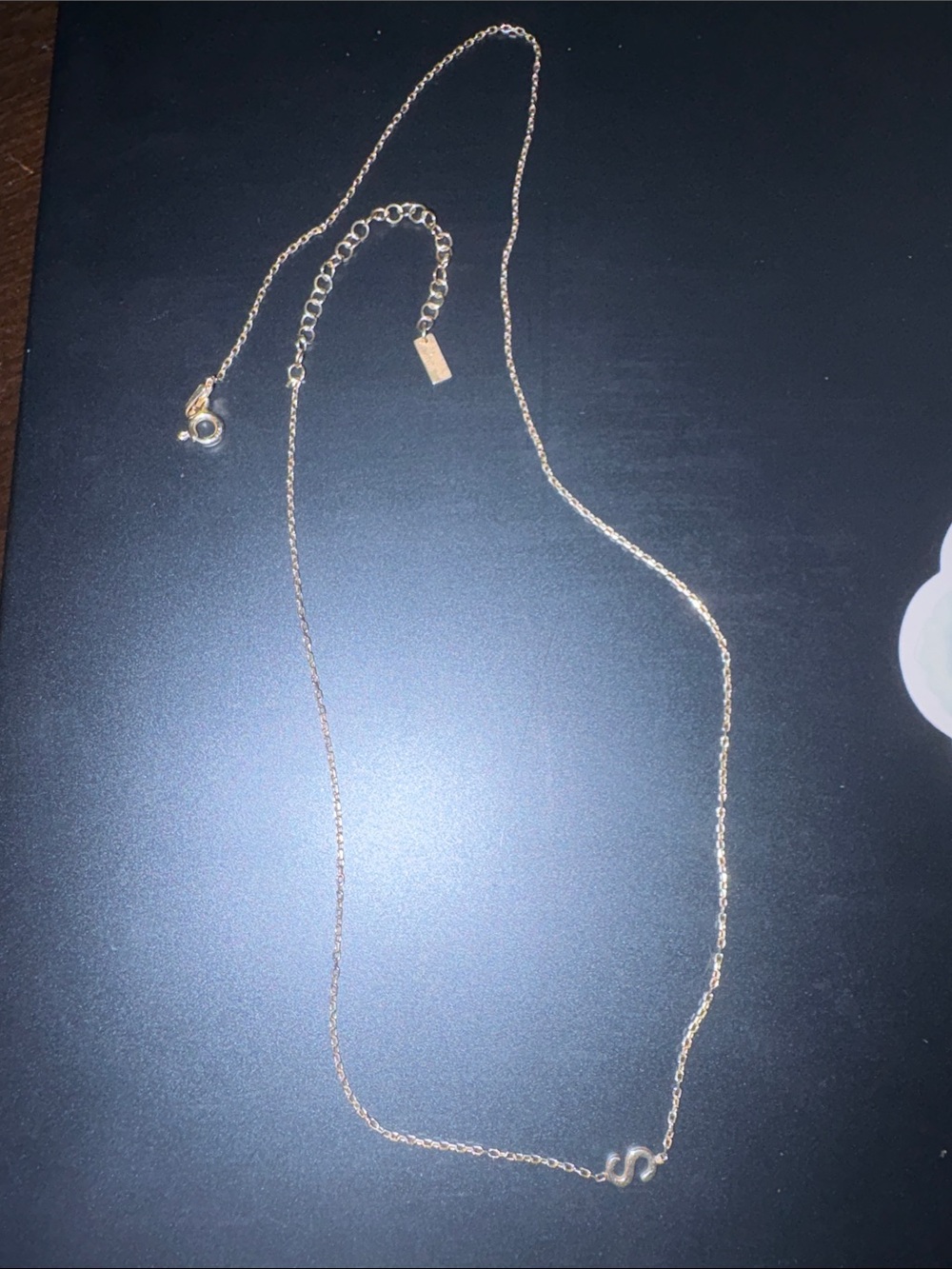 Adinas jewels 925 dainty gold-toned initial chain necklace with integrated S